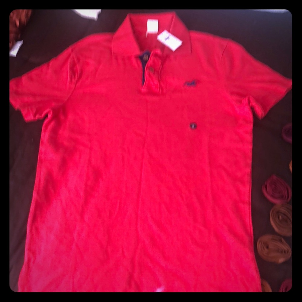 Hollister polo